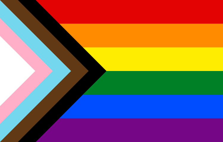 LGBTQ+_rainbow_flag_Quasar__Progress__variant.svg.png