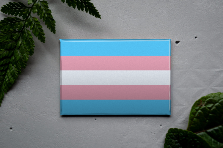 flaga trans.png